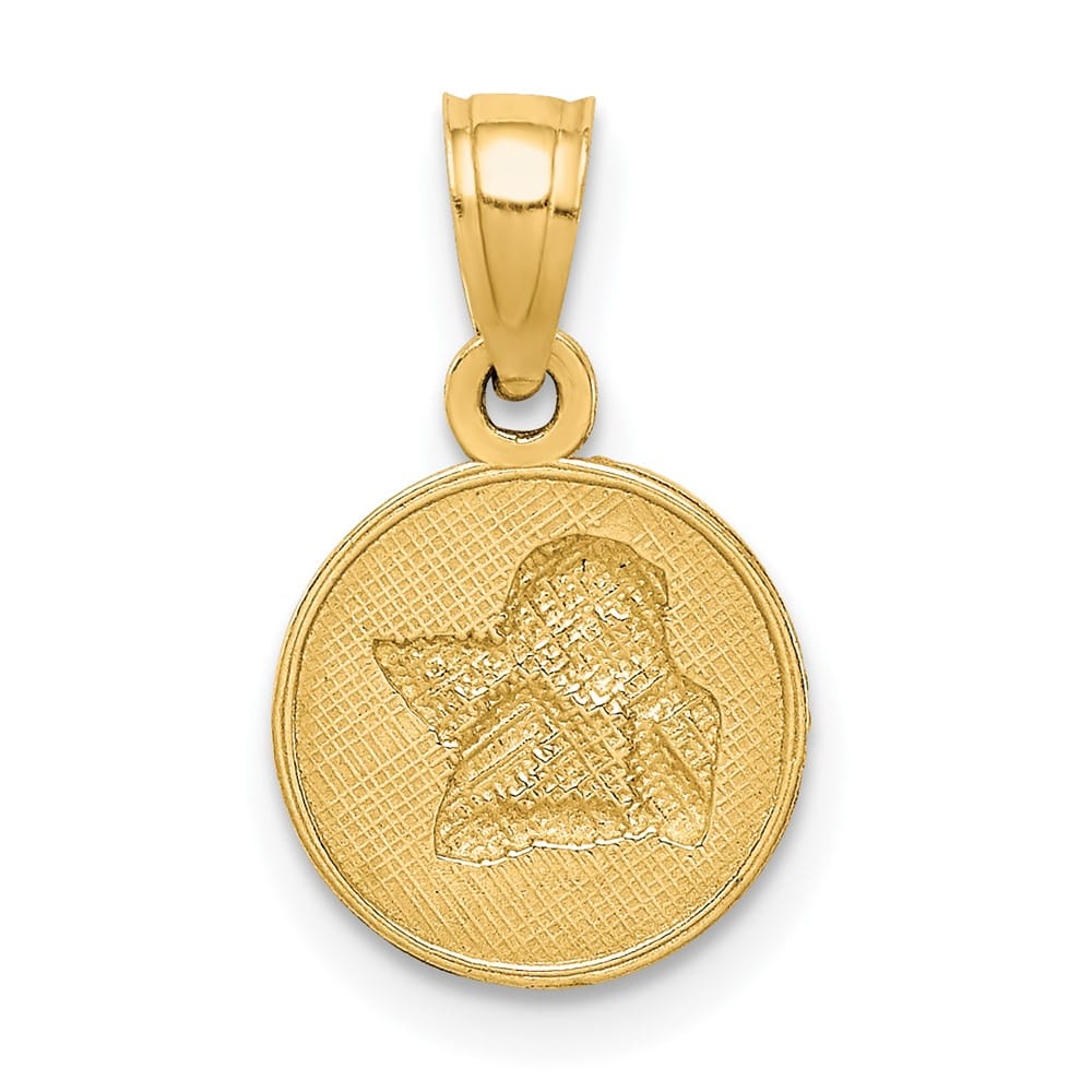 10K Yellow Gold Small Polished and Textured Round Angel Pendant