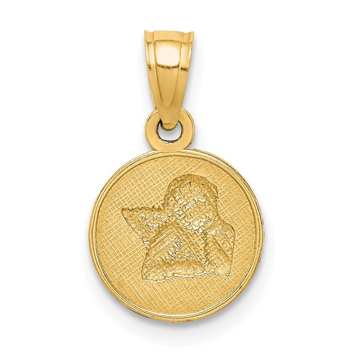 10K Yellow Gold Small Polished and Textured Round Angel Pendant