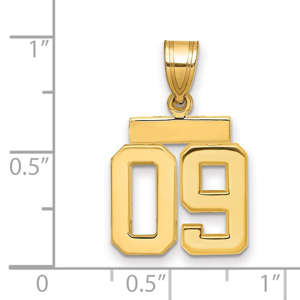 10K Yellow Gold Small Polished Number 09 Charm
