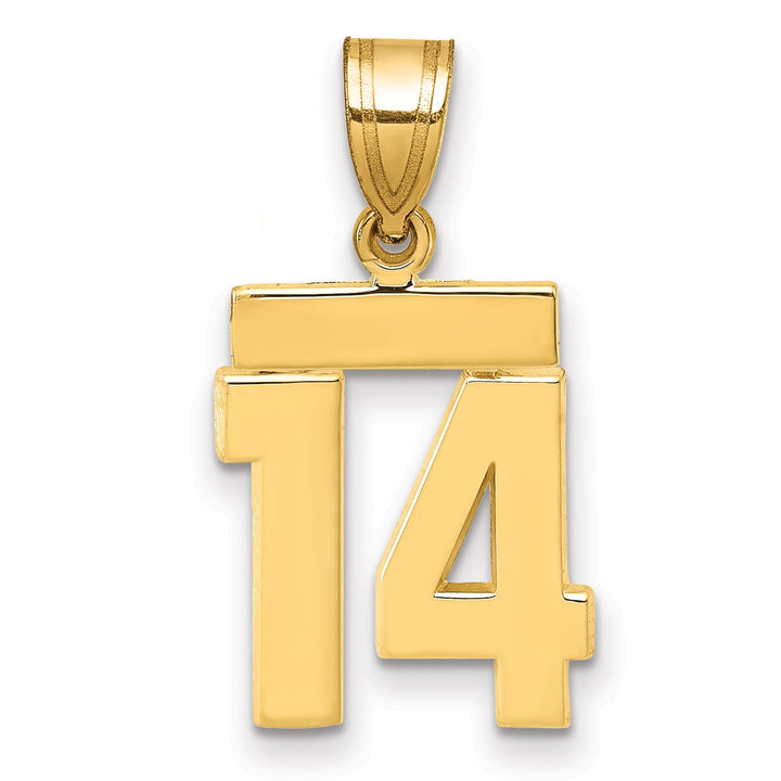 10K Yellow Gold Small Polished Number 14 Charm