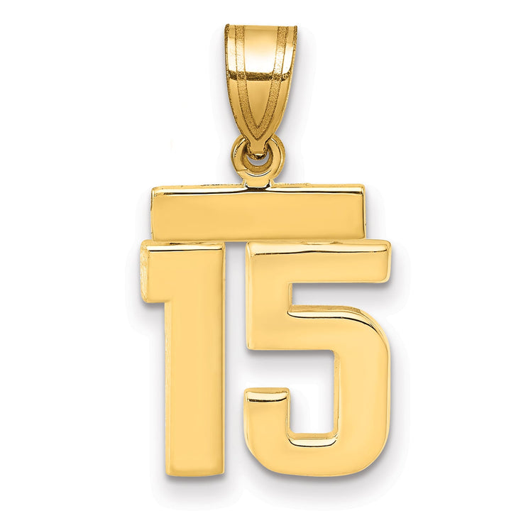 10K Yellow Gold Small Polished Number 15 Charm