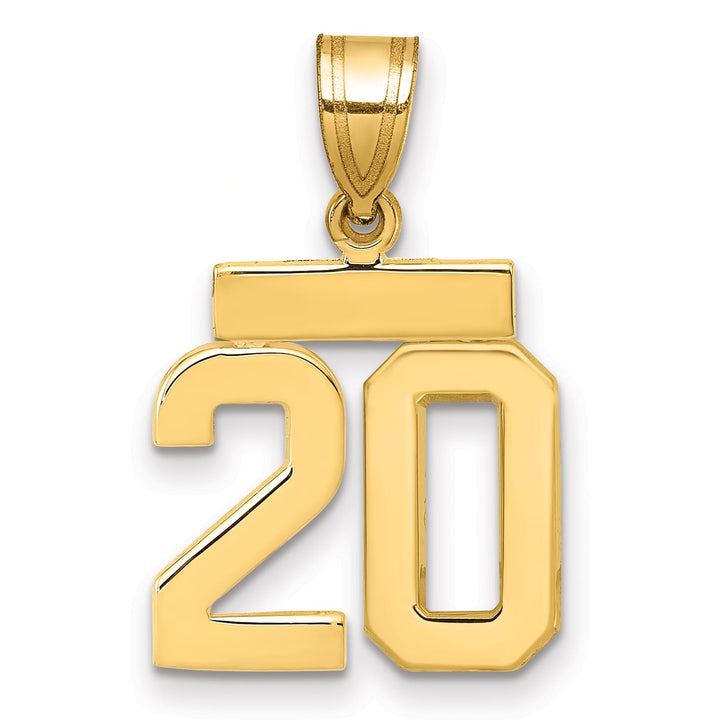 10K Yellow Gold Small Polished Number 20 Charm
