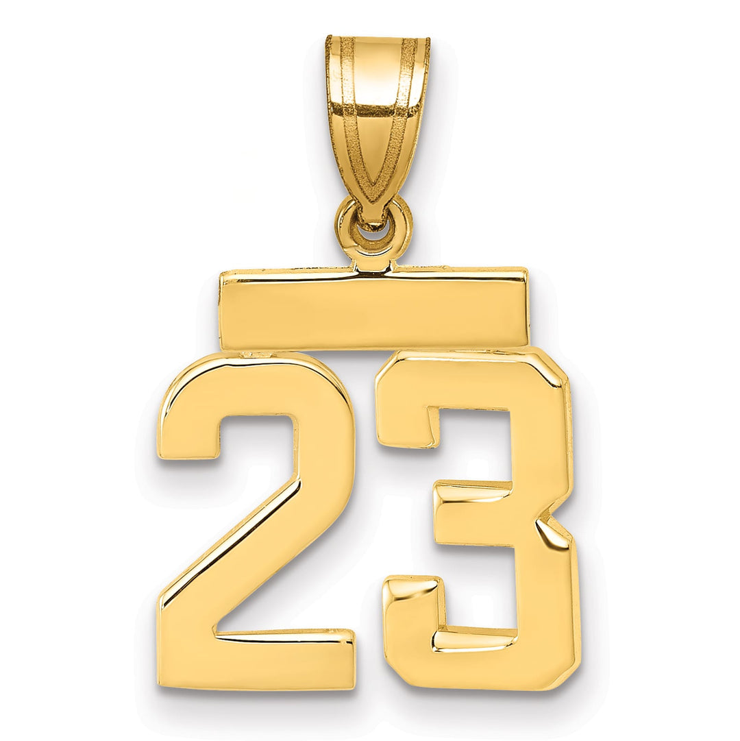 10K Yellow Gold Small Polished Number 23 Charm
