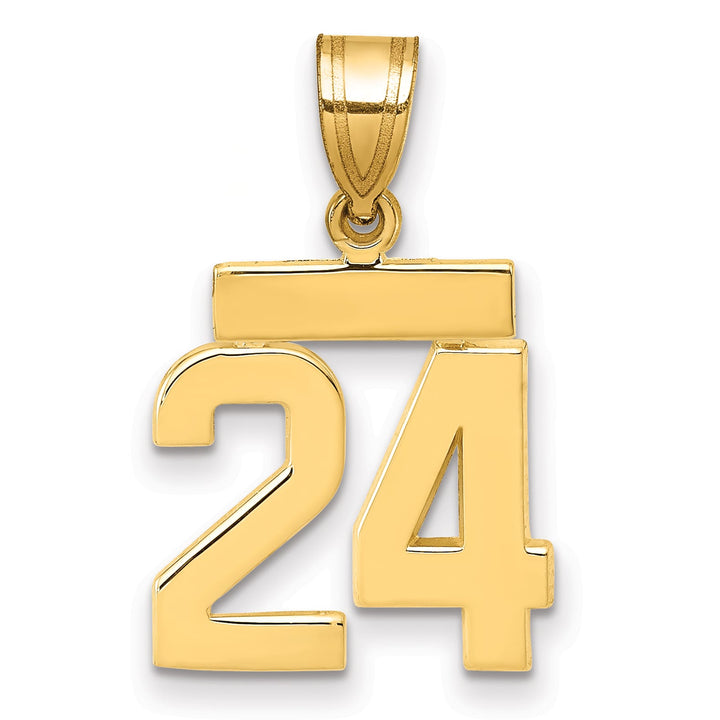 10K Yellow Gold Small Polished Number 24 Charm