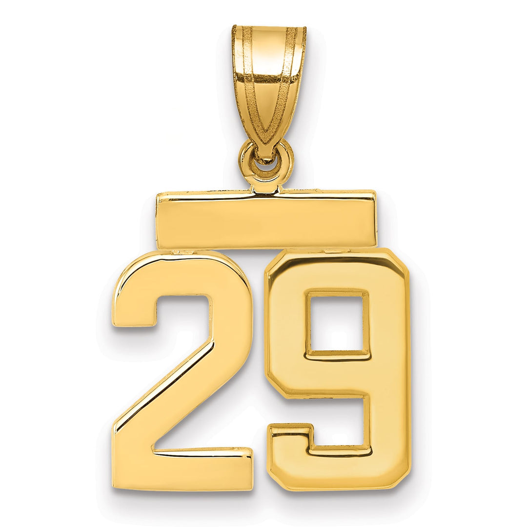 10K Yellow Gold Small Polished Number 29 Charm