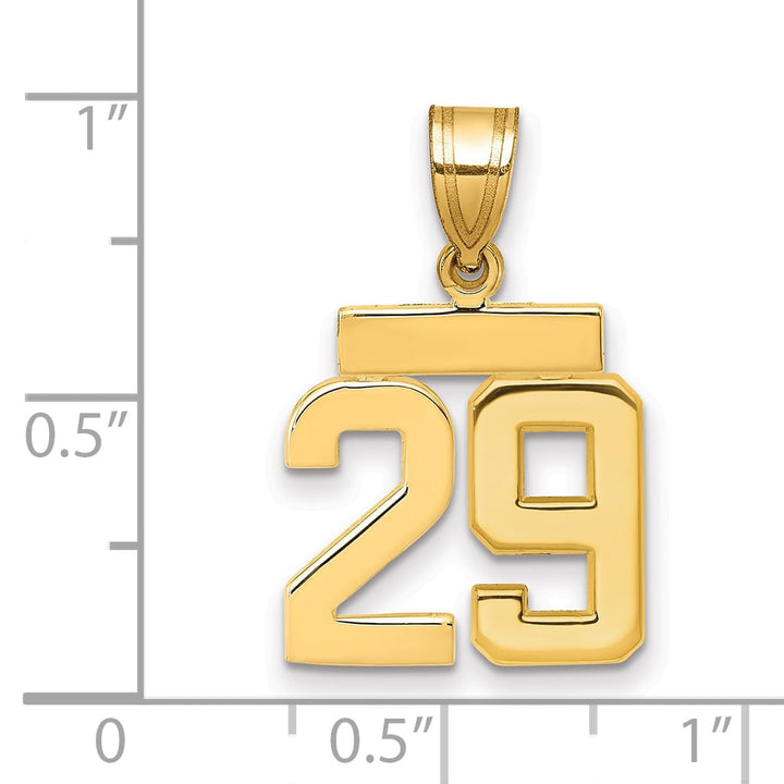 10K Yellow Gold Small Polished Number 29 Charm