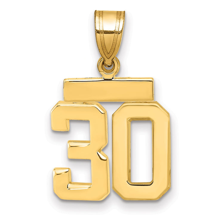 10K Yellow Gold Small Polished Number 30 Charm