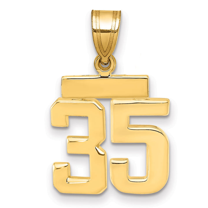 10K Yellow Gold Small Polished Number 35 Charm