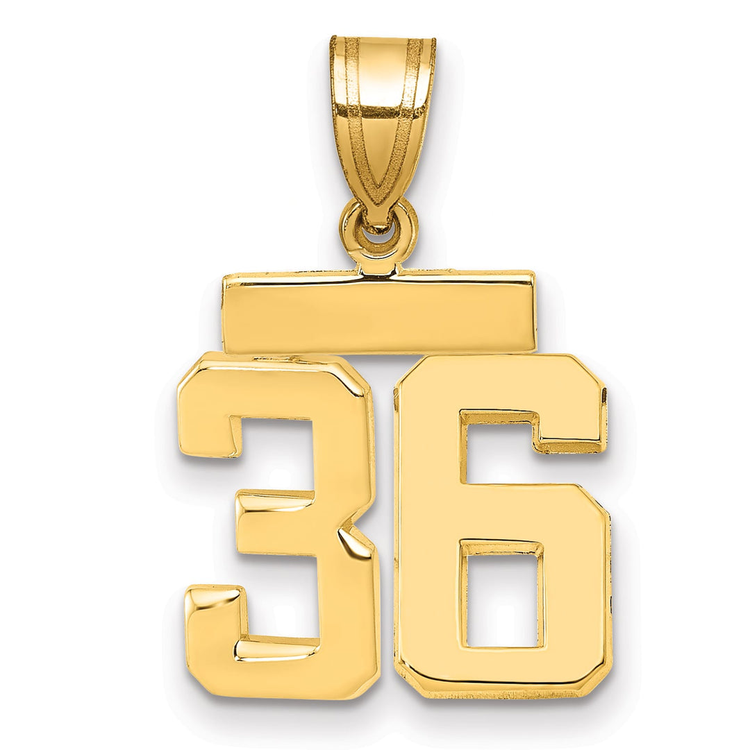 10K Yellow Gold Small Polished Number 36 Charm
