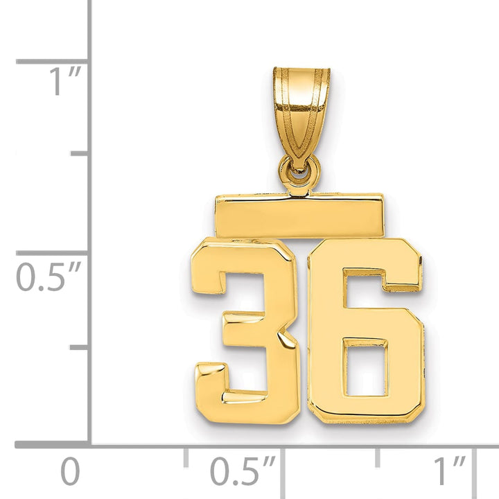 10K Yellow Gold Small Polished Number 36 Charm