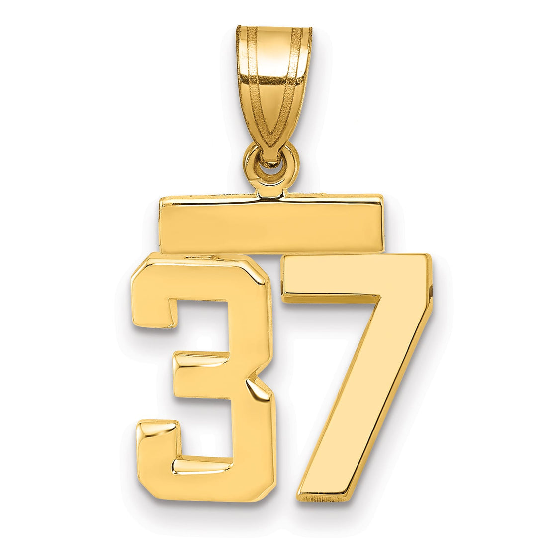 10K Yellow Gold Small Polished Number 37 Charm