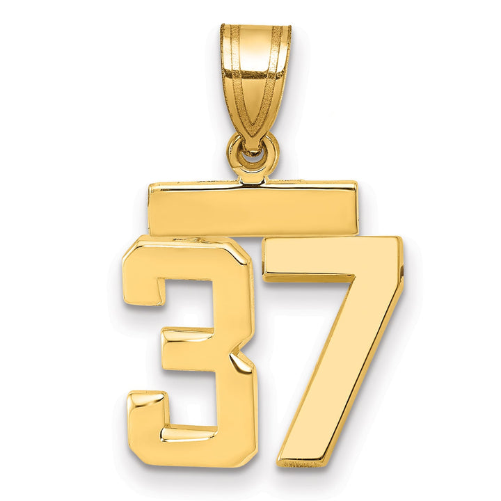 10K Yellow Gold Small Polished Number 37 Charm