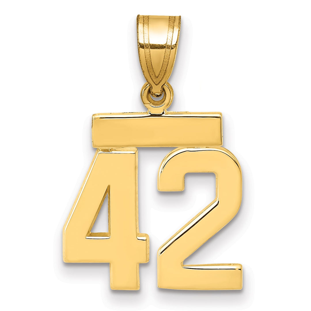 10K Yellow Gold Small Polished Number 42 Charm