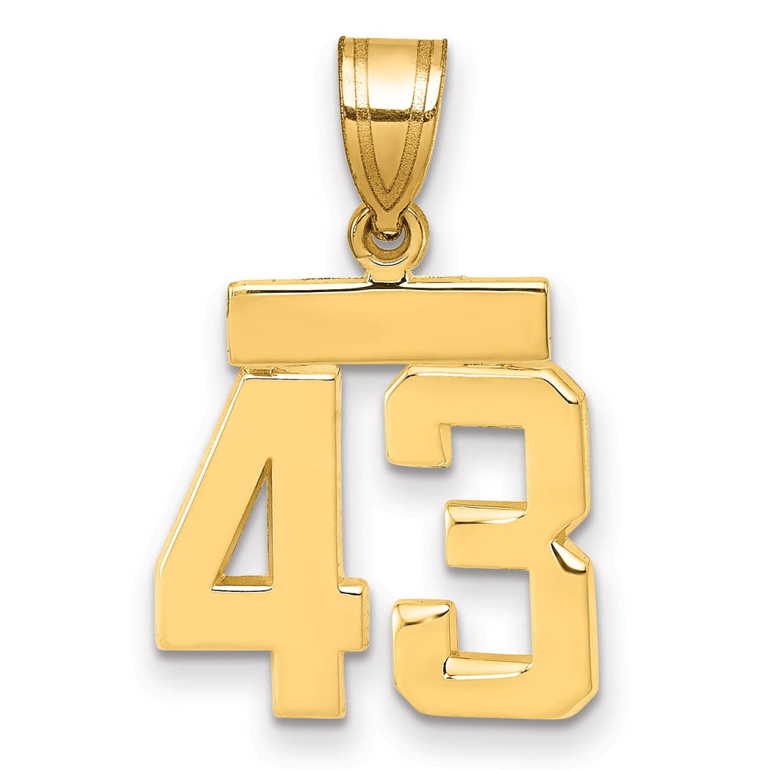 10K Yellow Gold Small Polished Number 43 Charm