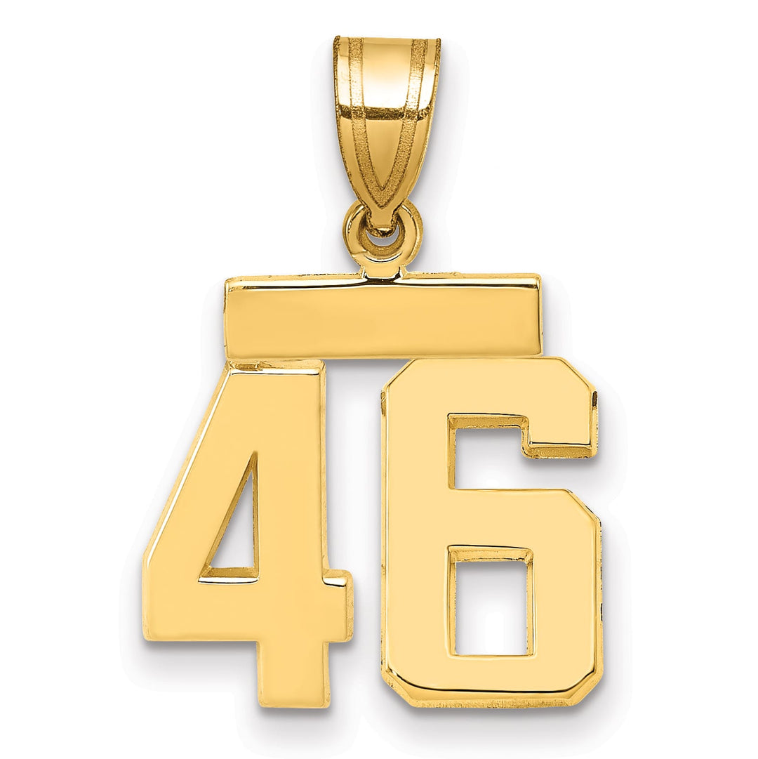 10K Yellow Gold Small Polished Number 46 Charm