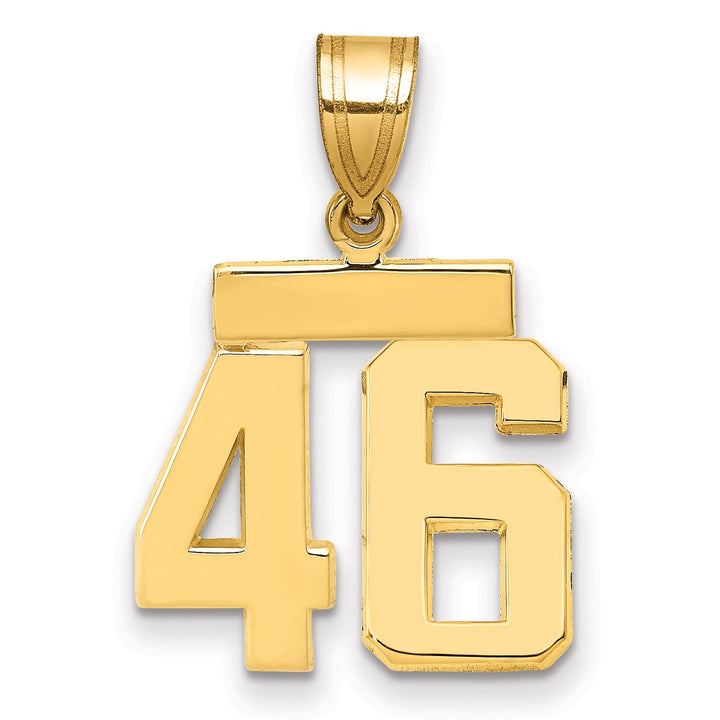 10K Yellow Gold Small Polished Number 46 Charm