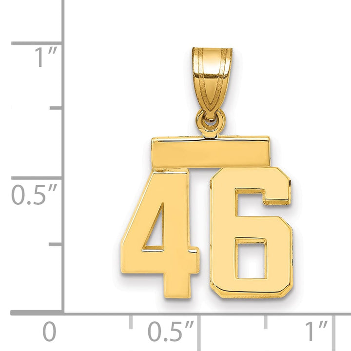10K Yellow Gold Small Polished Number 46 Charm