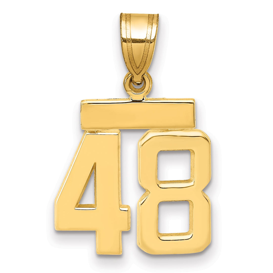 10K Yellow Gold Small Polished Number 48 Charm