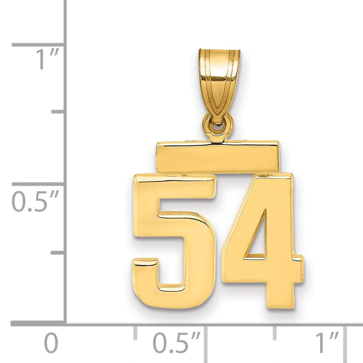 10K Yellow Gold Small Polished Number 54 Charm