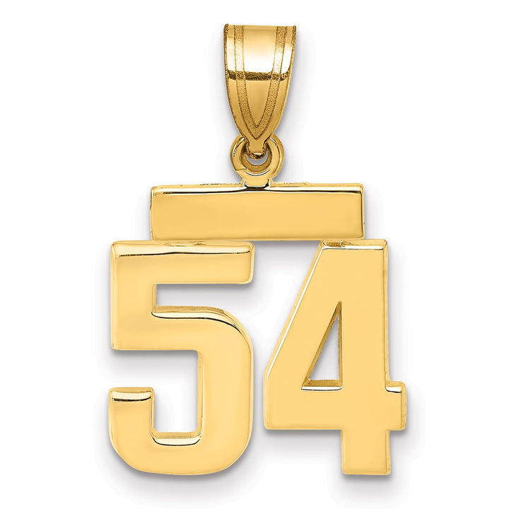 10K Yellow Gold Small Polished Number 54 Charm