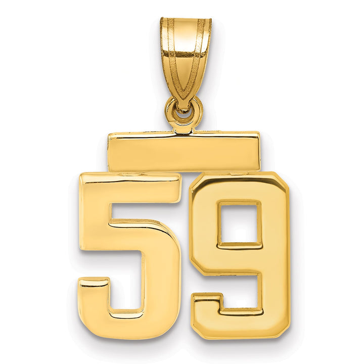 10K Yellow Gold Small Polished Number 59 Charm