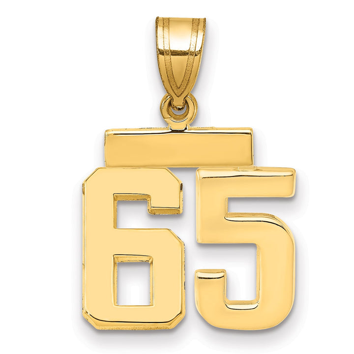 10K Yellow Gold Small Polished Number 65 Charm