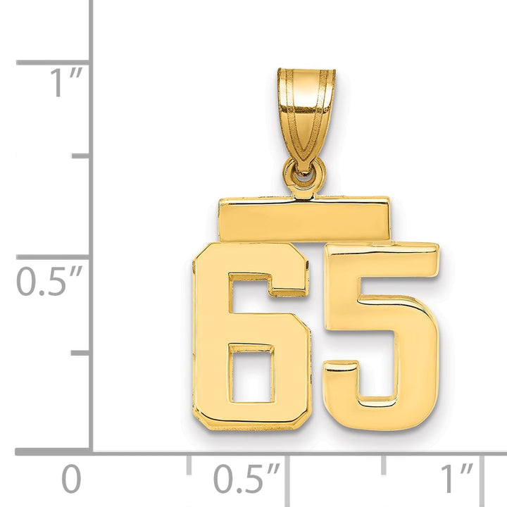 10K Yellow Gold Small Polished Number 65 Charm