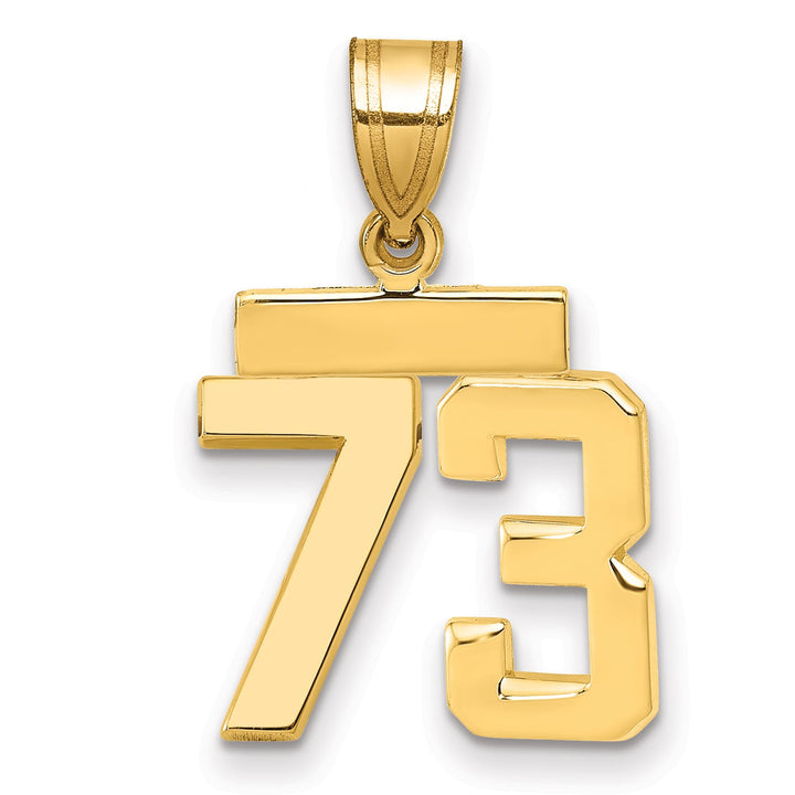 10K Yellow Gold Small Polished Number 73 Charm