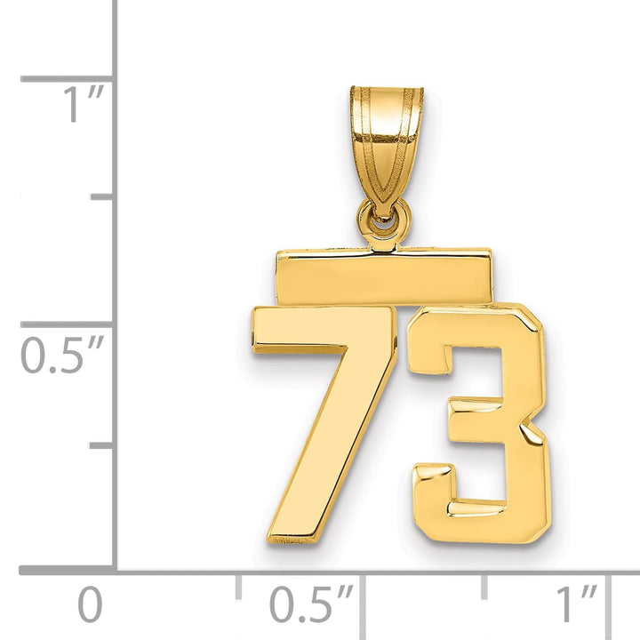 10K Yellow Gold Small Polished Number 73 Charm