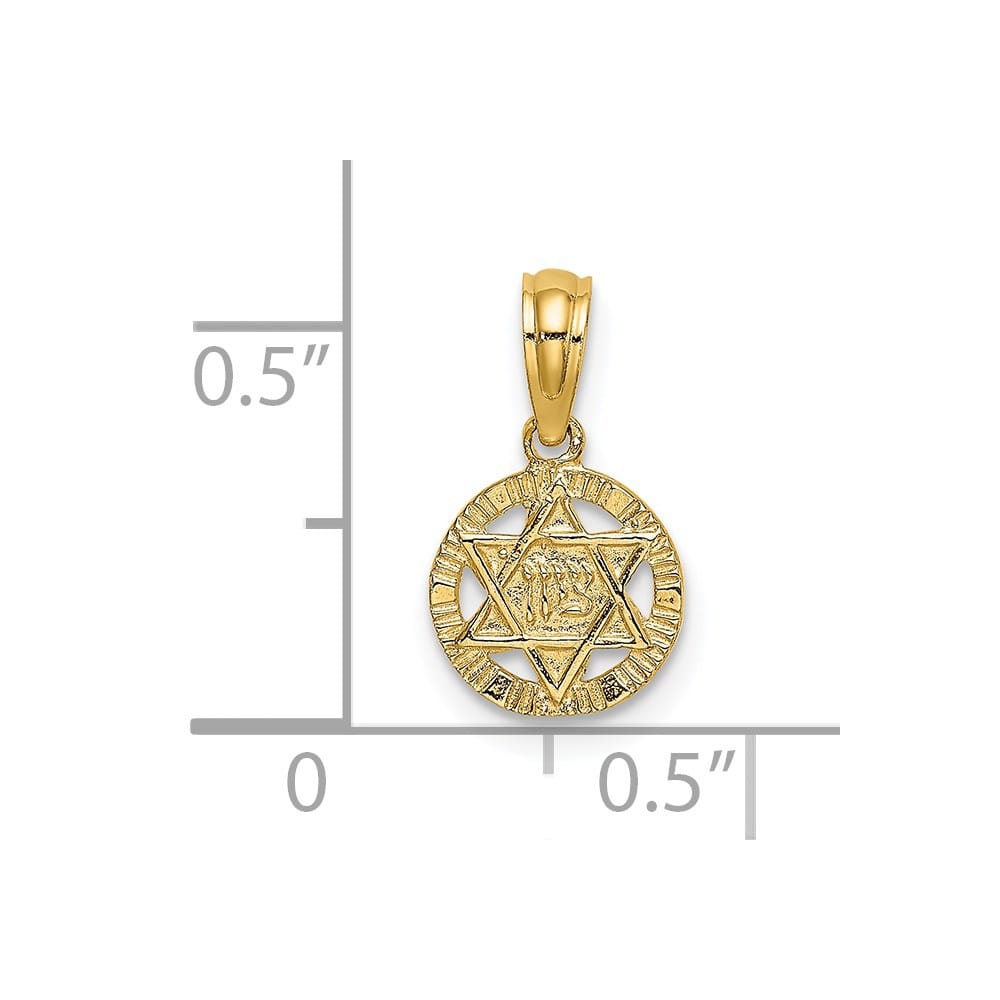 10K Yellow Gold Small Textured Star of David Charm