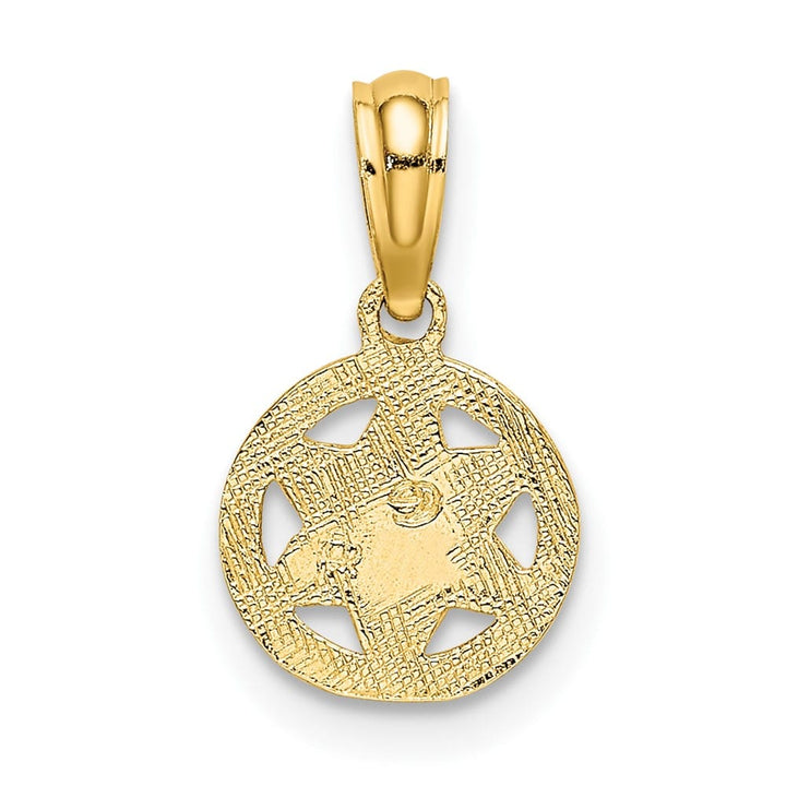 10K Yellow Gold Small Textured Star of David Charm