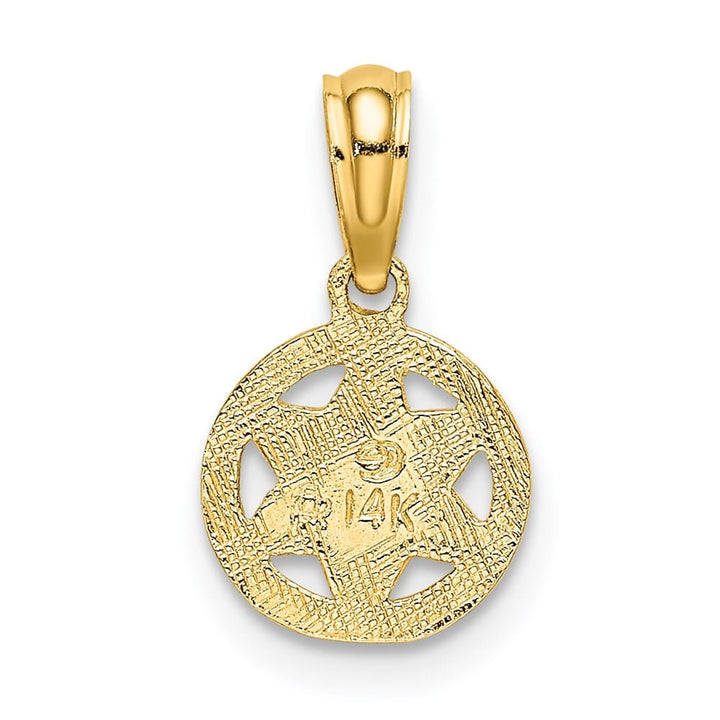 10K Yellow Gold Small Textured Star of David Charm