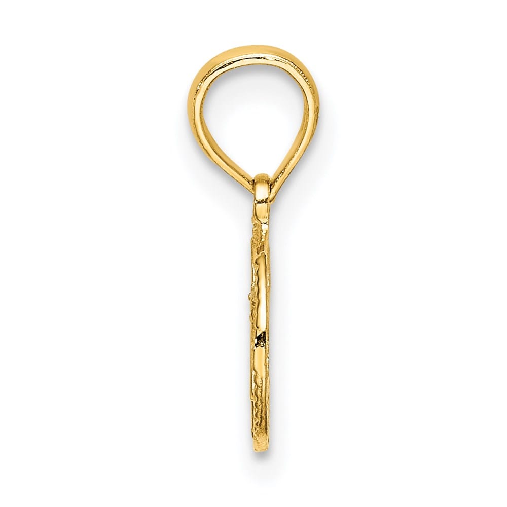 10K Yellow Gold Small Textured Star of David Charm