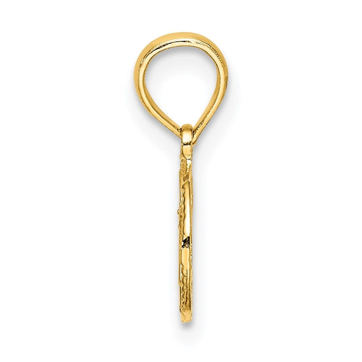10K Yellow Gold Small Textured Star of David Charm