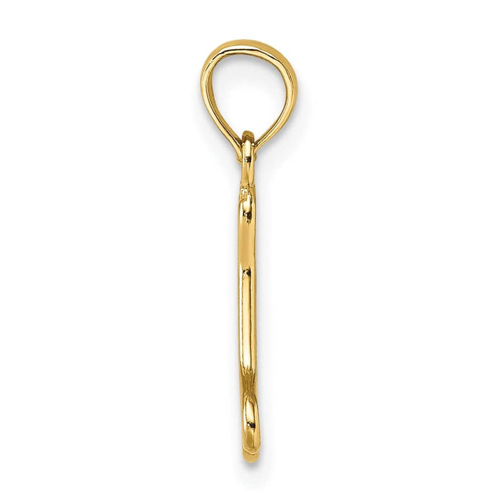 10K Yellow Gold Solid Cut-Out Polished Medium Dog Bone Charm