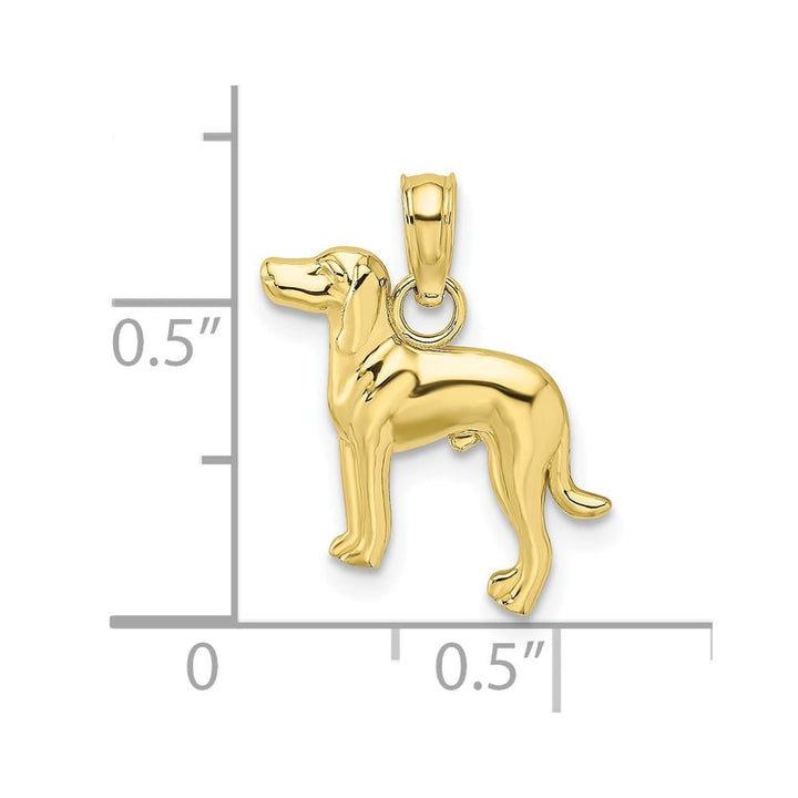 10K Yellow Gold Solid Polished 2-D Medium Greyhound Dog Charm