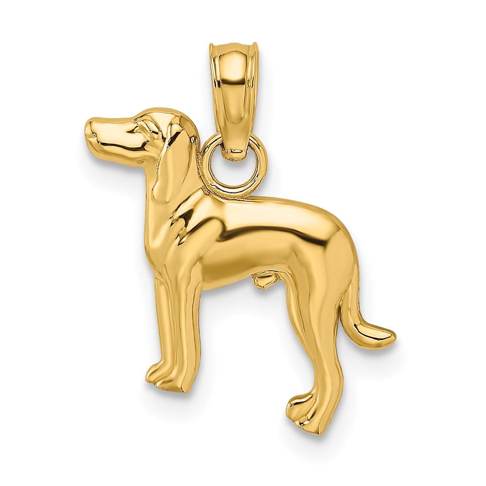 10K Yellow Gold Solid Polished 2-D Medium Greyhound Dog Charm