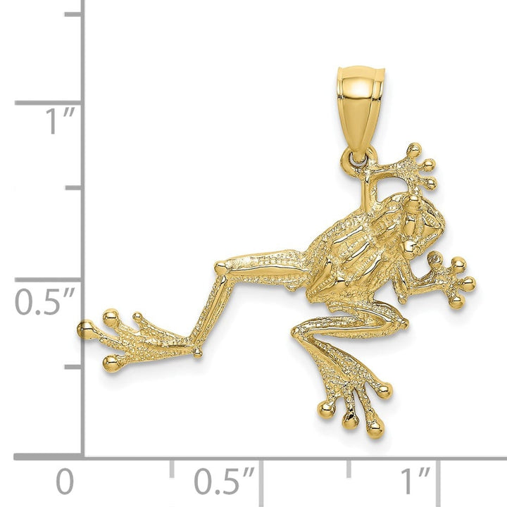 10K Yellow Gold Solid Polished 2-D Textured Large Frog Charm