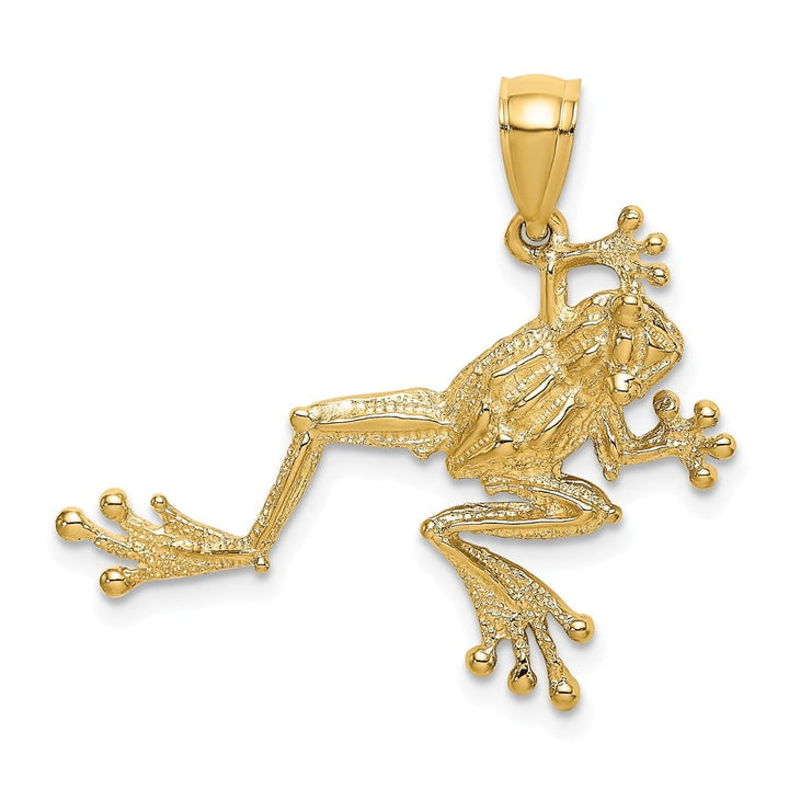 10K Yellow Gold Solid Polished 2-D Textured Large Frog Charm