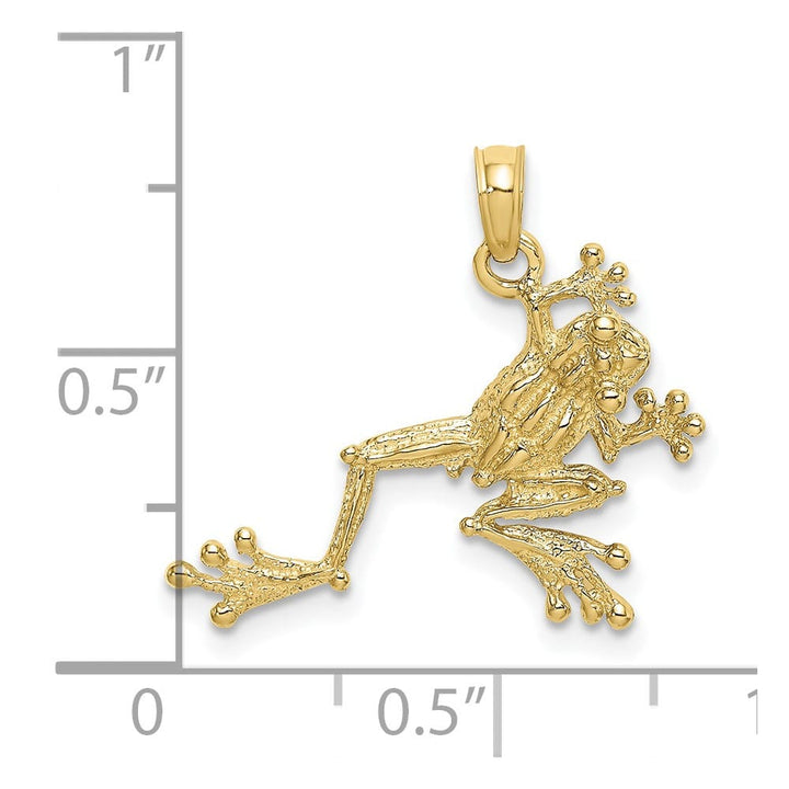 10K Yellow Gold Solid Polished 2-D Textured Medium Frog Charm