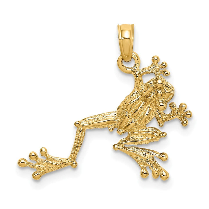 10K Yellow Gold Solid Polished 2-D Textured Medium Frog Charm