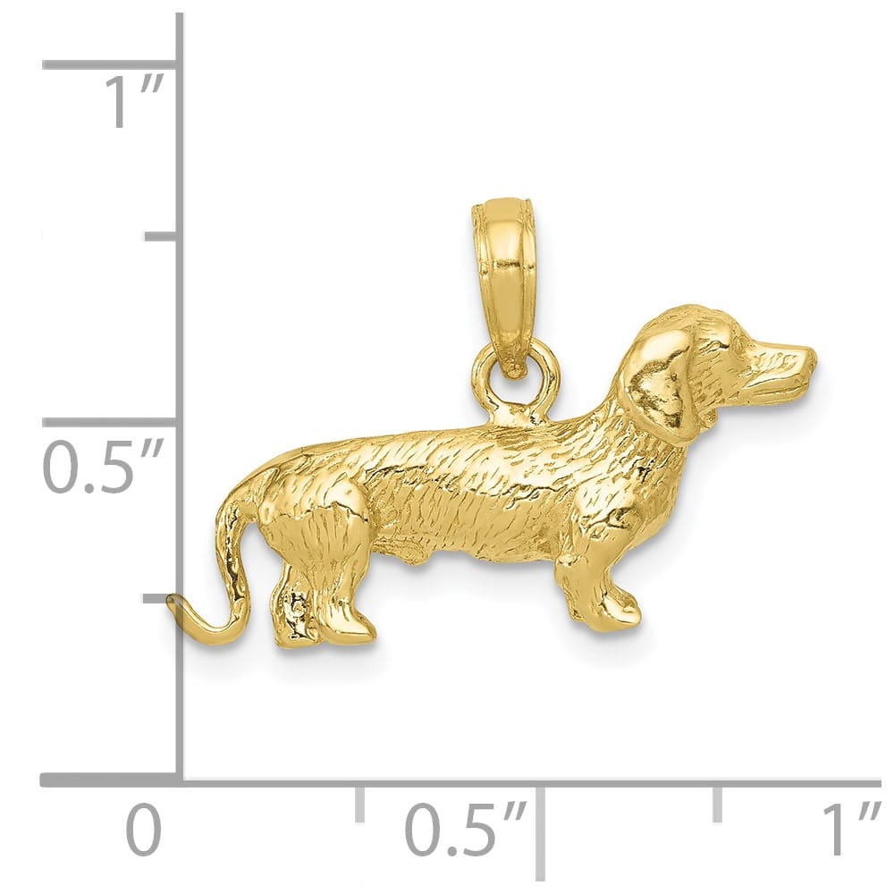 10K Yellow Gold Solid Polished 3-D Medium Wire-Haired Dachshund Charm