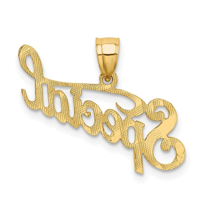 10K Yellow Gold Solid Polished and Textured Medium Special Pendant