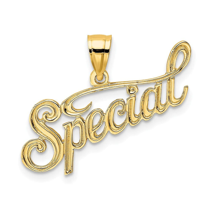 10K Yellow Gold Solid Polished and Textured Medium Special Pendant