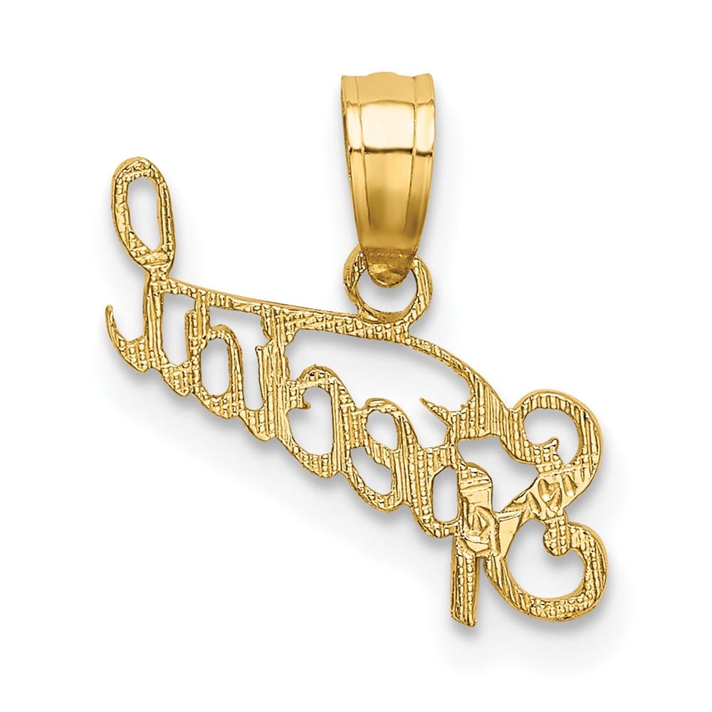 10K Yellow Gold Solid Polished and Textured Small Special Pendant