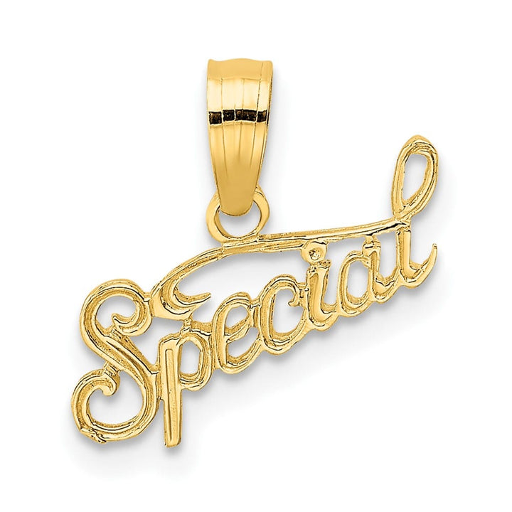 10K Yellow Gold Solid Polished and Textured Small Special Pendant