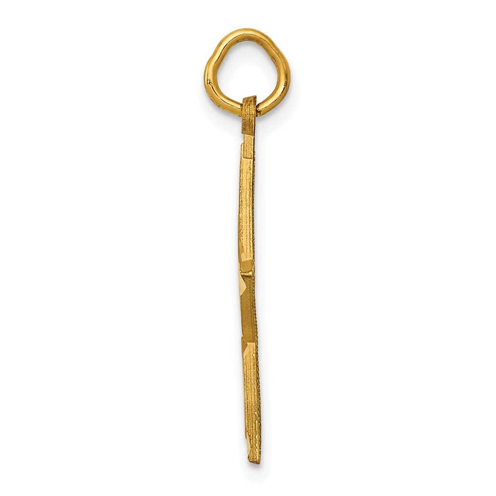 10K Yellow Gold Solid Polished D.C. Large Star Charm