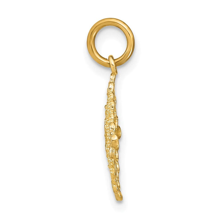 10K Yellow Gold Solid Polished D.C. Medium Filigree Medallion Charm