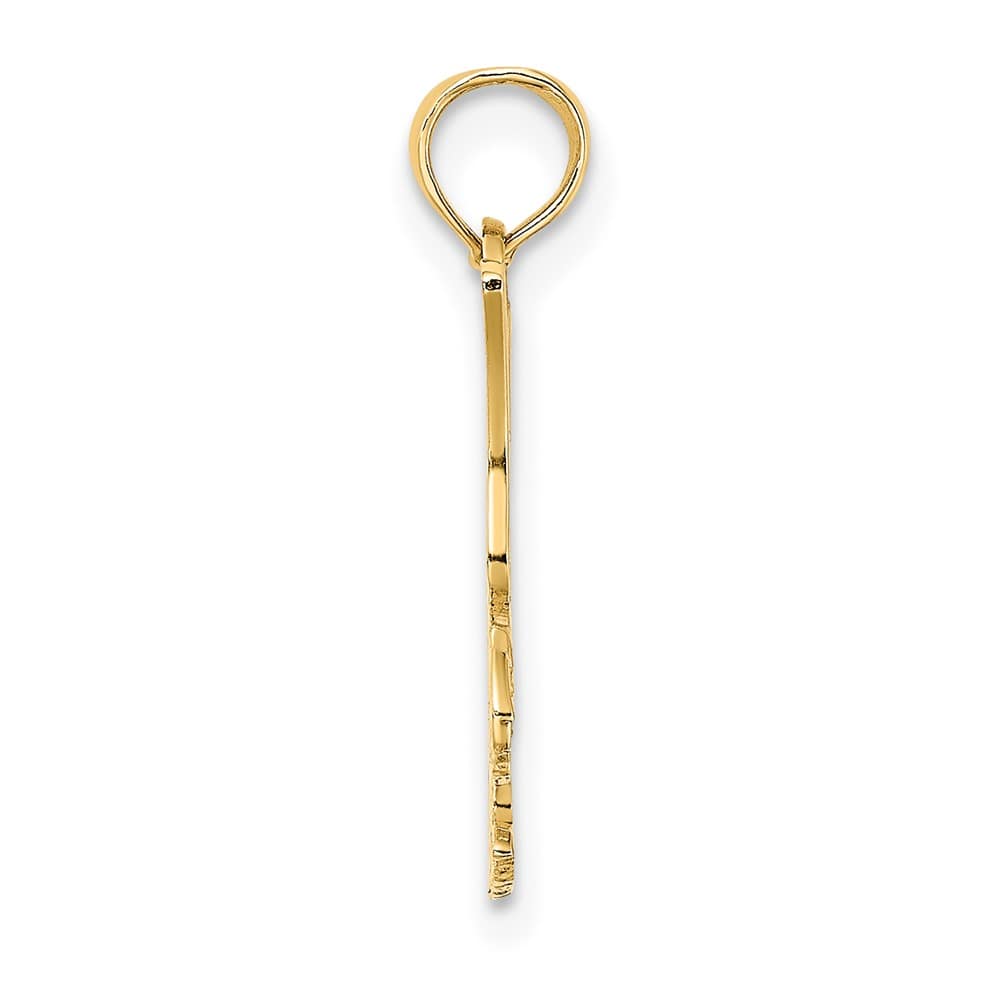 10K Yellow Gold Solid Polished Extra Large Eagle Charm