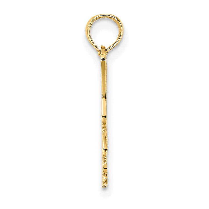 10K Yellow Gold Solid Polished Extra Large Eagle Charm